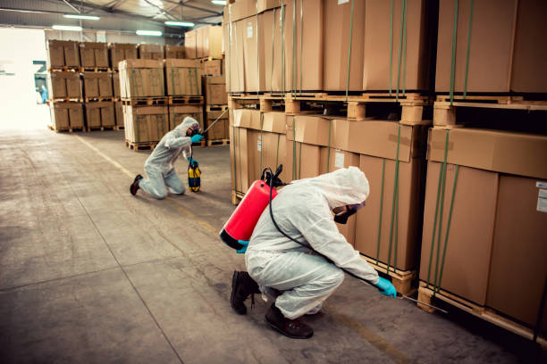 Best Pest Control Near Me  in Webster City, IA