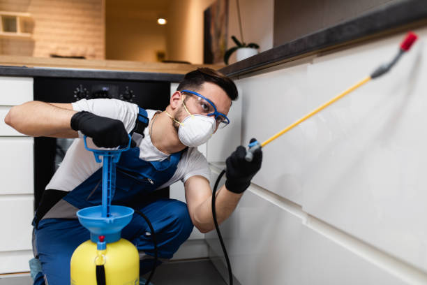 Best Ant Control Services  in Webster City, IA