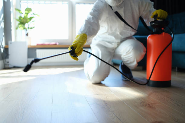 Best Termite Control Services  in Webster City, IA