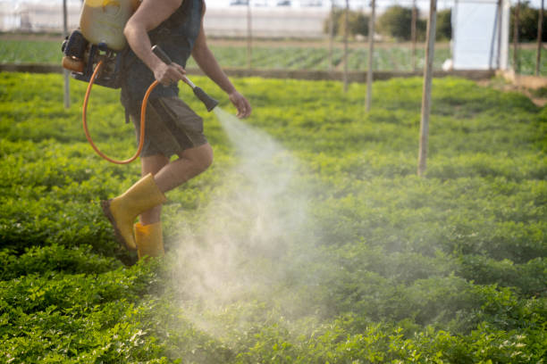 Best Commercial Pest Control Services  in Webster City, IA