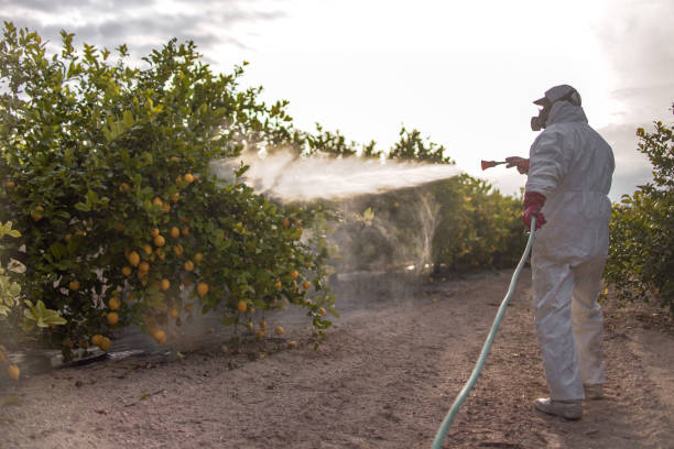 Best Best Pest Control Companies  in Webster City, IA