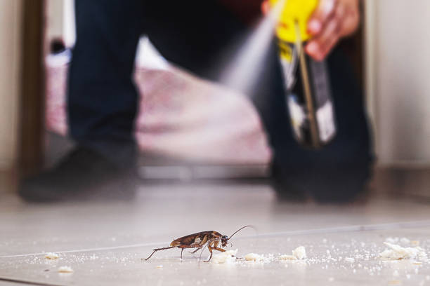 Best Wildlife Control Services  in Webster City, IA