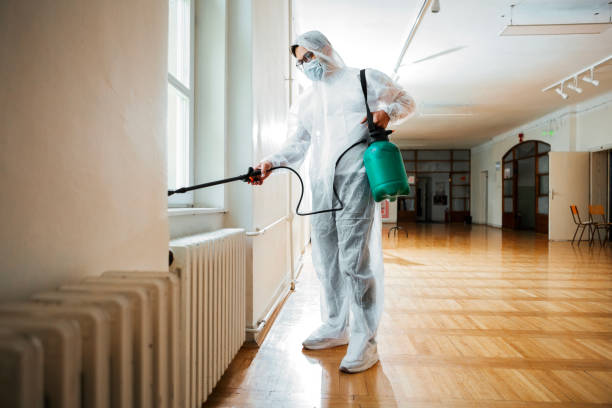 Best Pest Control for Homes  in Webster City, IA