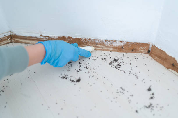 Best Residential Pest Control  in Webster City, IA