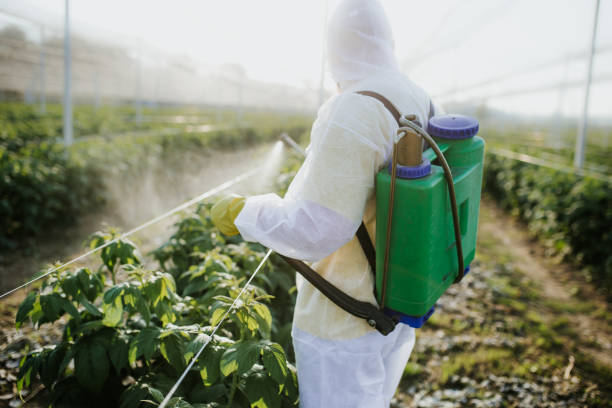 Best Pest Removal Services  in Webster City, IA
